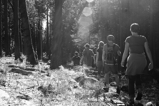 Gottwood Festival 2013