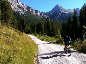 mountain biking
