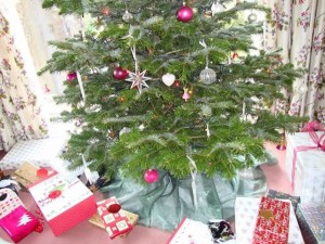 North Wales Events