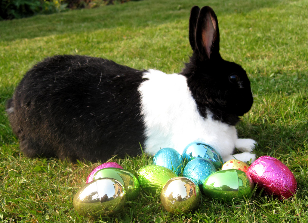 Family Activities in North Wales for the Easter Holidays