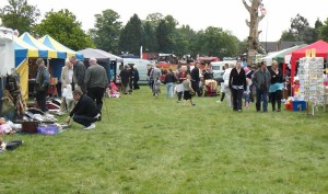Village Market