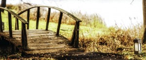 DBT Training in Chester
