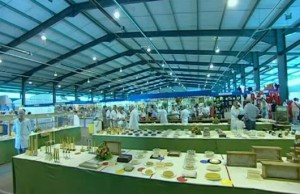 royal welsh show