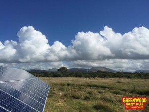 solar power greenwood park