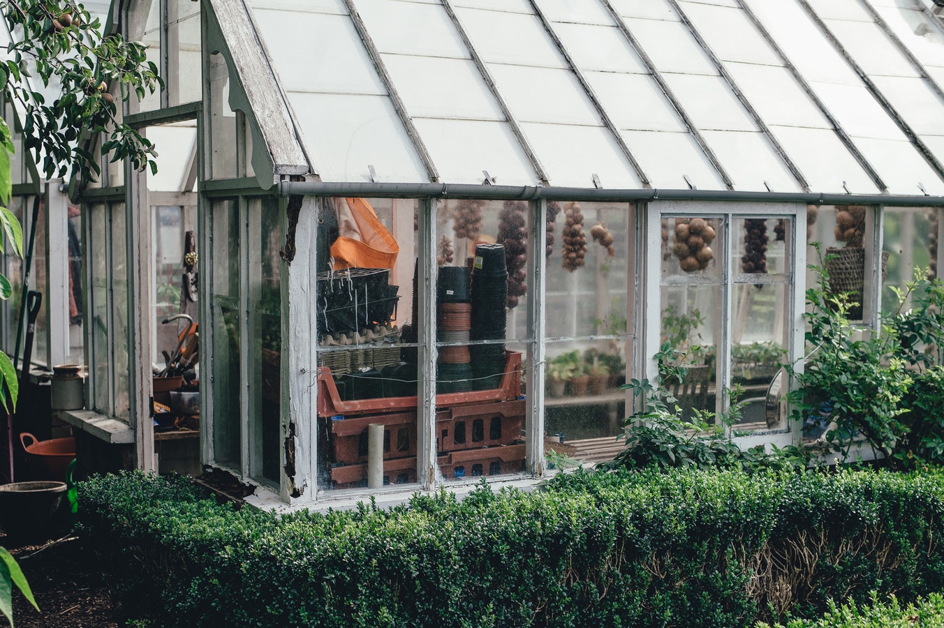 greenhouse