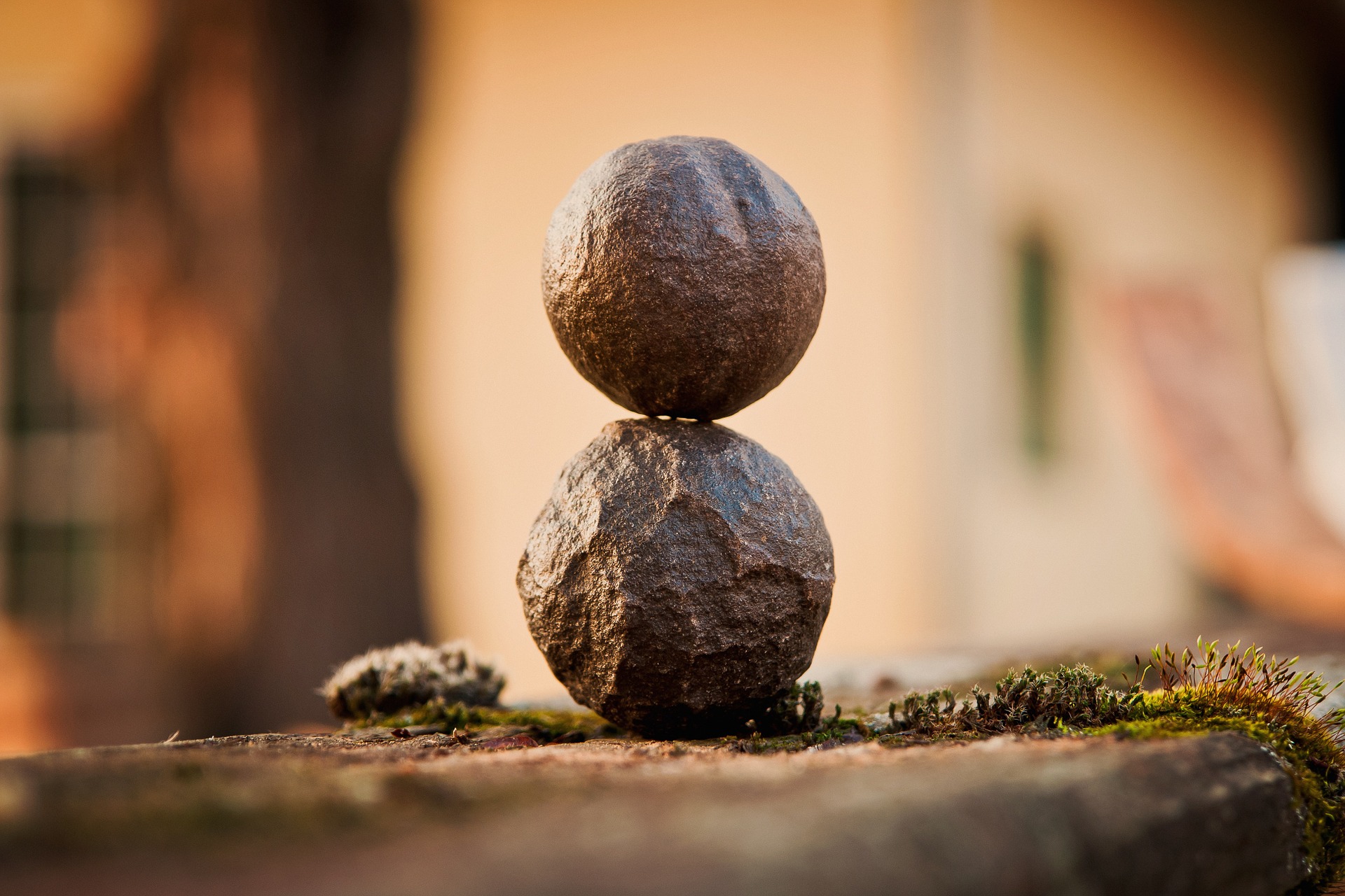 Everything You Need to Know About DBT