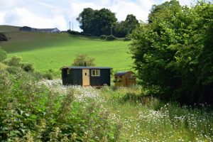 glamping north wales