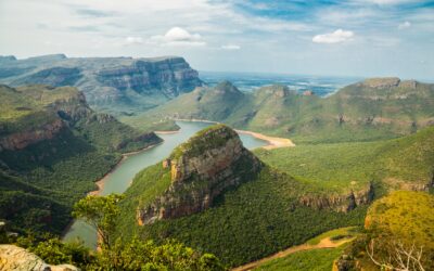 Why you Should Buy South African Wine?