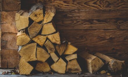 Ten Reasons to Switch to Kiln-Dried Firewood