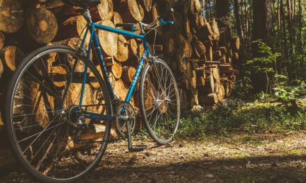 Cycling in the Summer: Tips to Stay Cool and Comfortable