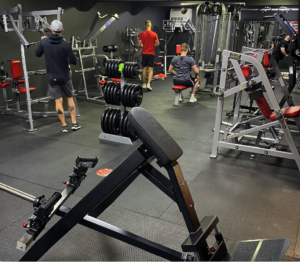 The 'Back' section of the gym.