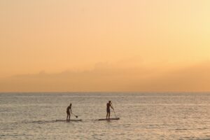 Two people paddle-boarding in the ocean