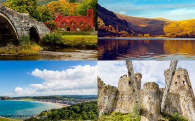 Vale Guided Tours – Guided Tours of North Wales