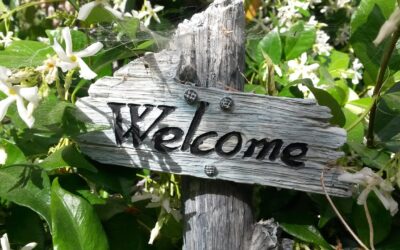 Tips For Moving Home in Summer