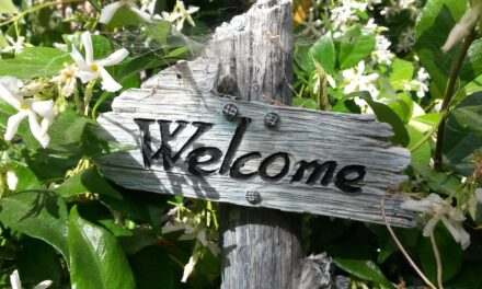 Tips For Moving Home in Summer