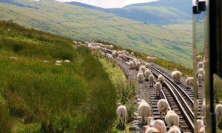 Choosing a Holiday Home in Snowdonia