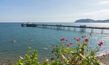 Spring in North Wales: What’s On and What to Do in 2026