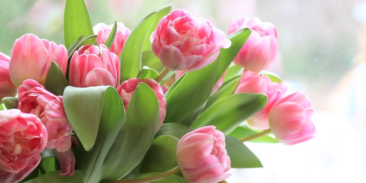 How to Treat Your Mum on Mother’s Day in North Wales