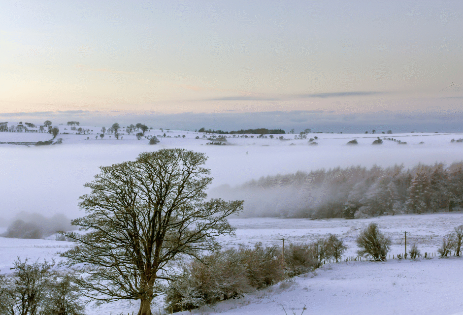 Why Booking a Hotel in North Wales for Autumn and Winter is the Perfect Choice