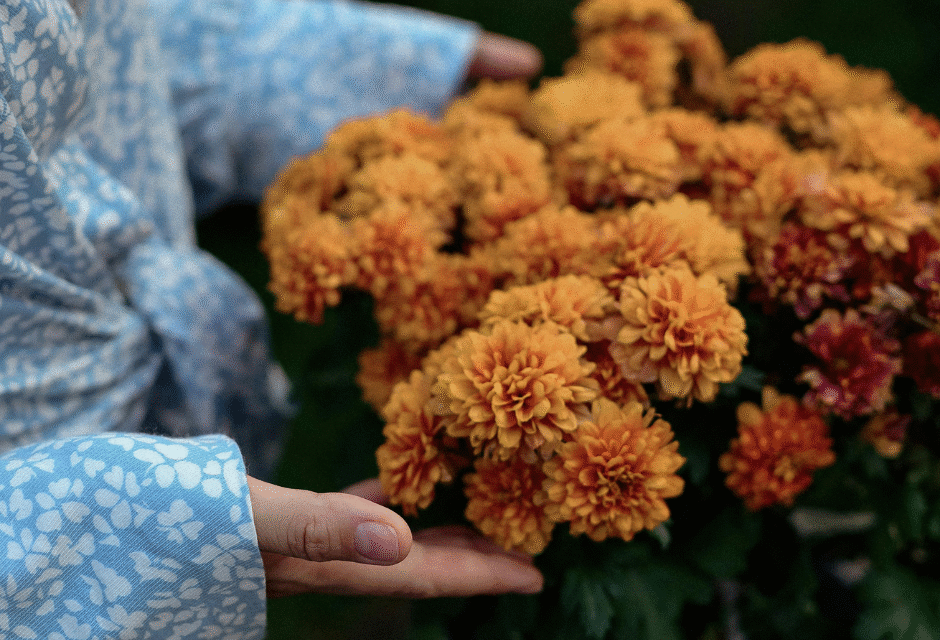 Preparing Your Garden for the Autumn and Winter Months in North Wales