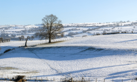The Perfect Pre-Christmas and New Year Break in North Wales