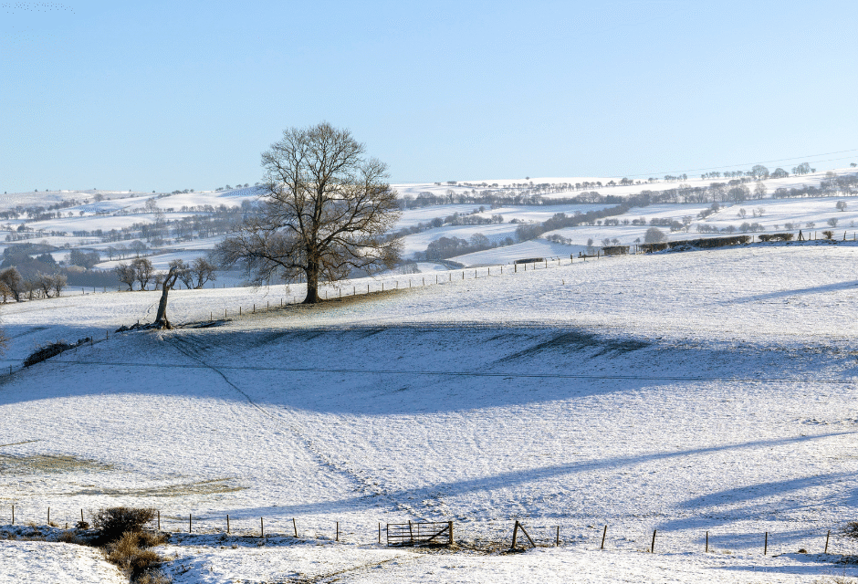The Perfect Pre-Christmas and New Year Break in North Wales