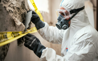 Five Common Myths About Asbestos in Buildings – and What the Facts Actually Are