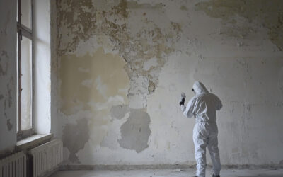 Asbestos in North Wales Buildings: What Property Owners and Managers Need to Know