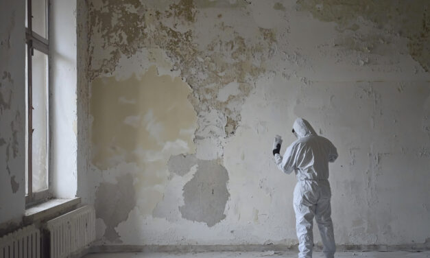 Asbestos in North Wales Buildings: What Property Owners and Managers Need to Know