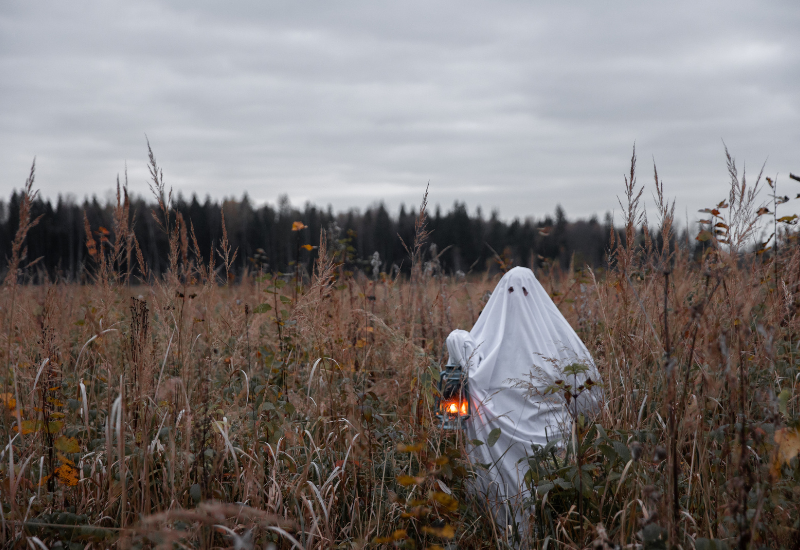 ghost costume in a field