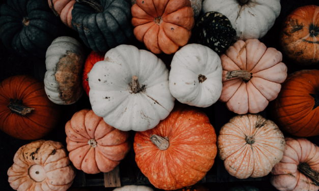 Halloween in North Wales: A Spooky Season of Castles, Forests and Family Fun