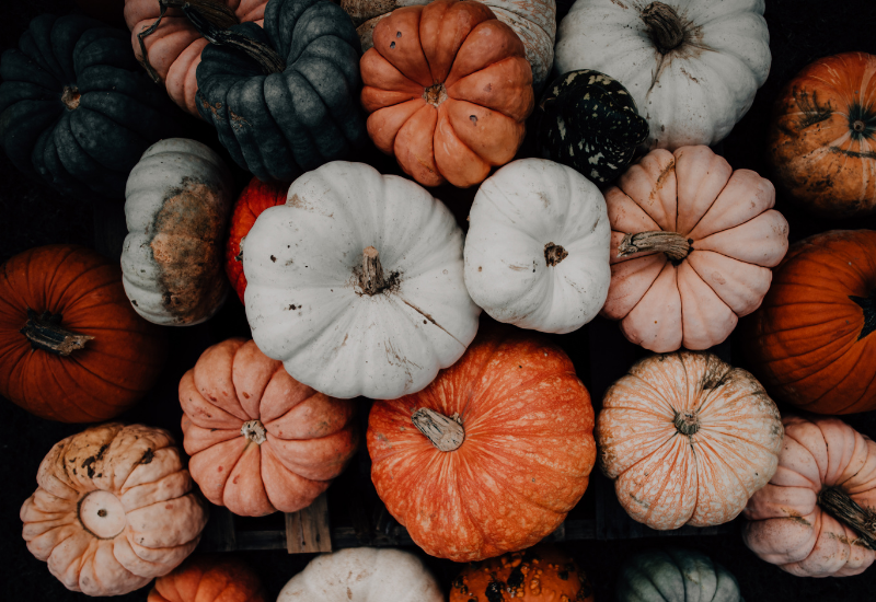Halloween in North Wales: A Spooky Season of Castles, Forests and Family Fun